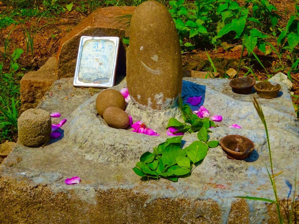 Maji Homestay Khajurāho Exterior foto