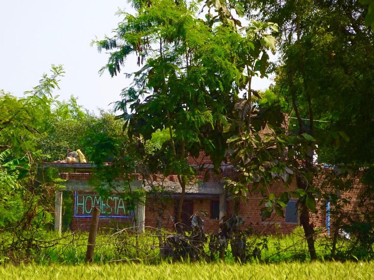 Maji Homestay Khajurāho Exterior foto